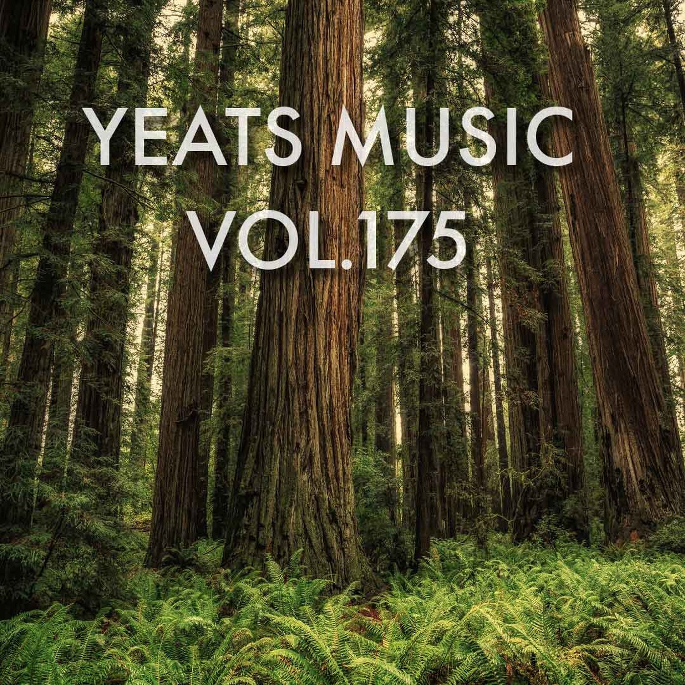 Yeats Music Vol.175
